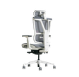 Ghế công thái học Epione ErgoChair Pro 3