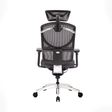 Ghế Công Thái Học GT Chair I-see M 5