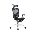 Ghế Công Thái Học GT Chair Dvary Ivino Gen II 2