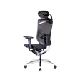 Ghế Công Thái Học GT Chair Dvary Ivino Gen II 3