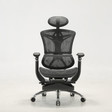 Ghế Công Thái Học Gami M97 1
