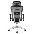 Ghế Công Thái Học Ergonomic Fly 5