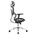Ghế Công Thái Học Ergonomic Fly 4