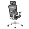 Ghế Công Thái Học Ergonomic Fly 6