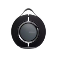 Loa Devialet Mania 1