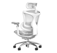 Ghế Công Thái Học Gami A3 - Doro C300 6