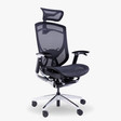 Ghế Công Thái Học GT Chair IFIT Smile 2