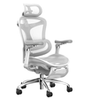 Ghế Công Thái Học Gami A3 - Doro C300 1