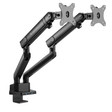 Arm màn hình Epione Liftup Duo 4
