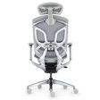 Ghế Công Thái Học GT Chair Dvary Butterfly Pro 3