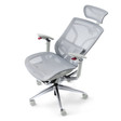 Ghế Công Thái Học GT Chair Dvary Butterfly Pro