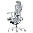 Ghế Công Thái Học GT Chair Dvary Butterfly Pro 4