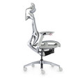Ghế Công Thái Học GT Chair Dvary Butterfly Pro 5