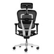 Ghế Công Thái Học Ergohuman Ultra 6