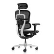 Ghế Công Thái Học Ergohuman Ultra 5