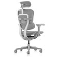 Ghế Công Thái Học Ergohuman Ultra 5