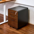 Hộc tủ tài liệu 3 ngăn The Leaf Plus 2