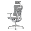 Ghế Công Thái Học Ergohuman Elite Gen 2 6