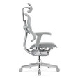 Ghế Công Thái Học Ergohuman Elite Gen 2 5