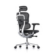 Ghế Công Thái Học Ergohuman Elite Gen 2 5