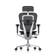 Ghế Công Thái Học Ergohuman Elite Gen 2 6