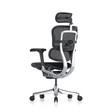 Ghế Công Thái Học Ergohuman Elite Gen 2
