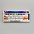 Bàn Phím Cơ Leobog AMG65 2