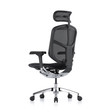 Ghế Công Thái Học Ergohuman Enjoy Elite Gen 2