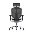 Ghế Công Thái Học Ergohuman Enjoy Elite Gen 2 6