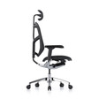 Ghế Công Thái Học Ergohuman Enjoy Elite Gen 2 4