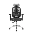 Ghế công thái học Leaf Flow Chair 3