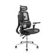 Ghế công thái học Leaf Flow Chair 4