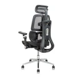 Ghế công thái học Leaf Flow Chair