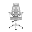 Ghế công thái học Leaf Flow Chair 1