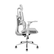 Ghế công thái học Leaf Flow Chair 6