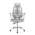 Ghế công thái học Leaf Flow Chair 3