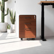 Hộc tủ tài liệu 3 ngăn The Leaf Plus 1