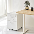 Hộc tủ tài liệu 3 ngăn The Leaf Plus 2