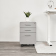 Hộc tủ tài liệu 3 ngăn The Leaf Plus 1