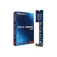 Ổ SSD Gigabyte G440E 500G 2