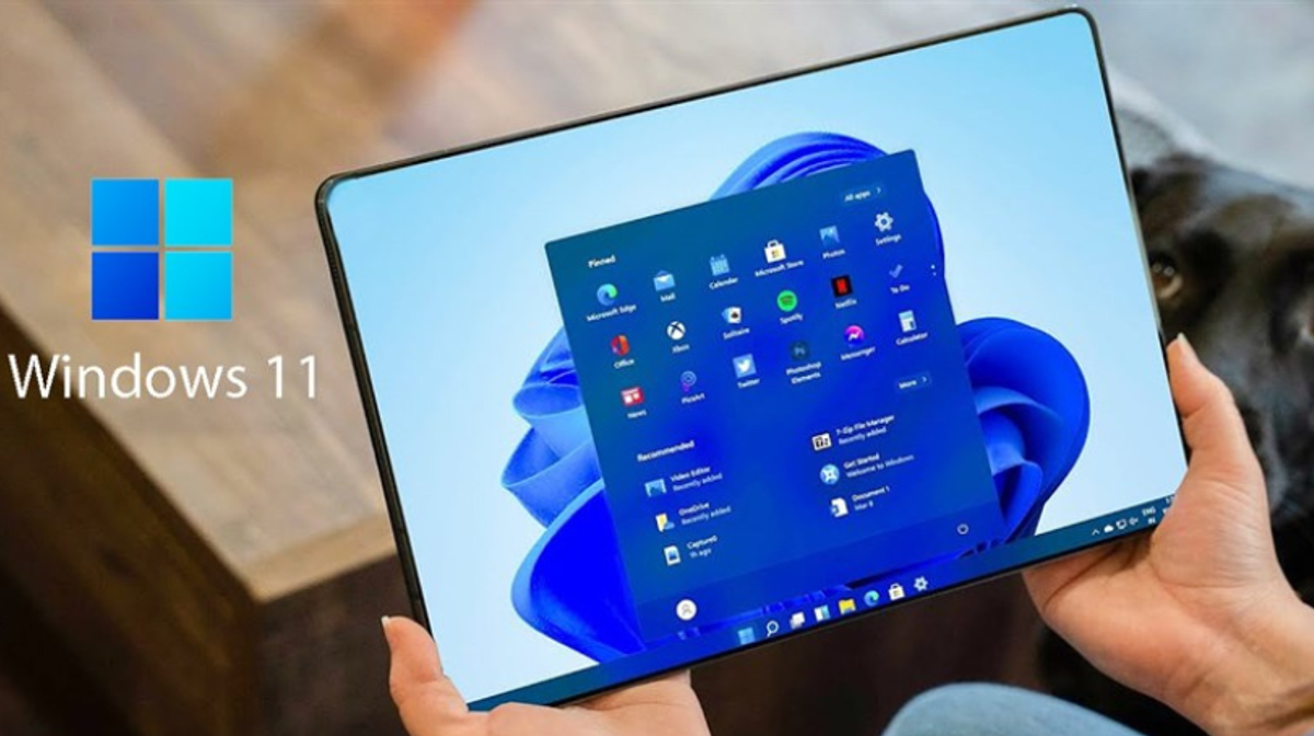 Sử dụng Windows 11 mà chưa biết đến 7 tính năng này thì hơi buồn đấy nhé!