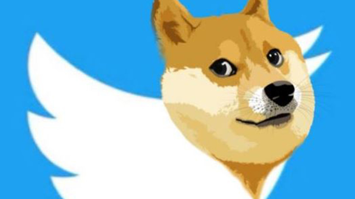 Elon Musk "xóa sổ" logo chim Xanh huyền thoại của Twitter, thay bằng chó Shiba