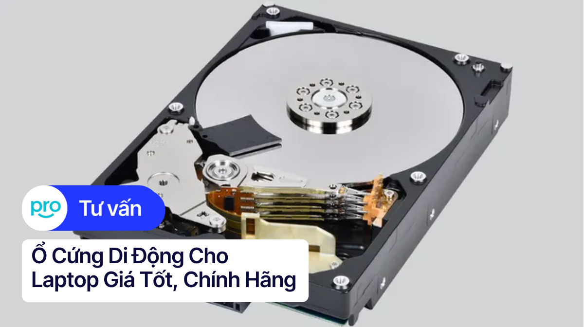 Ổ Cứng Di Động Cho Laptop Giá Tốt, Chính Hãng | ThinkPro
