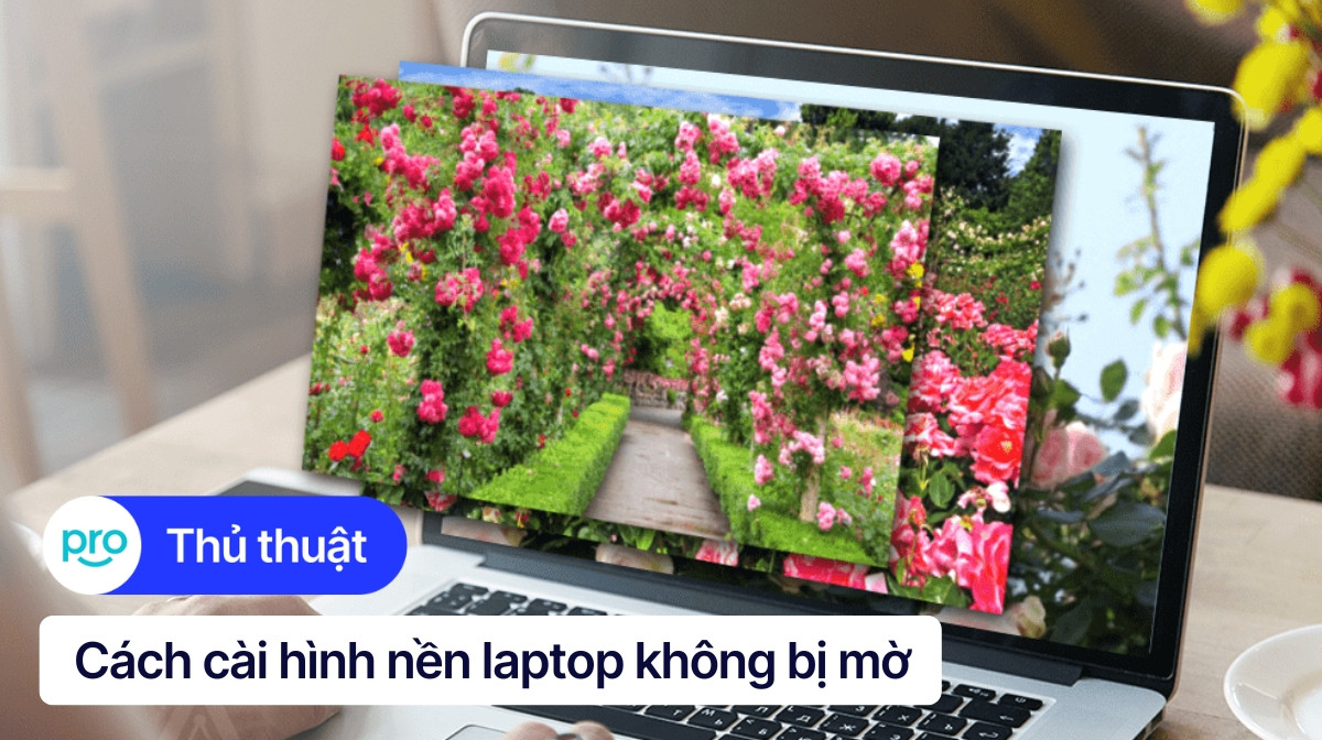 Cách cài hình nền máy tính, laptop không bị mờ siêu dễ