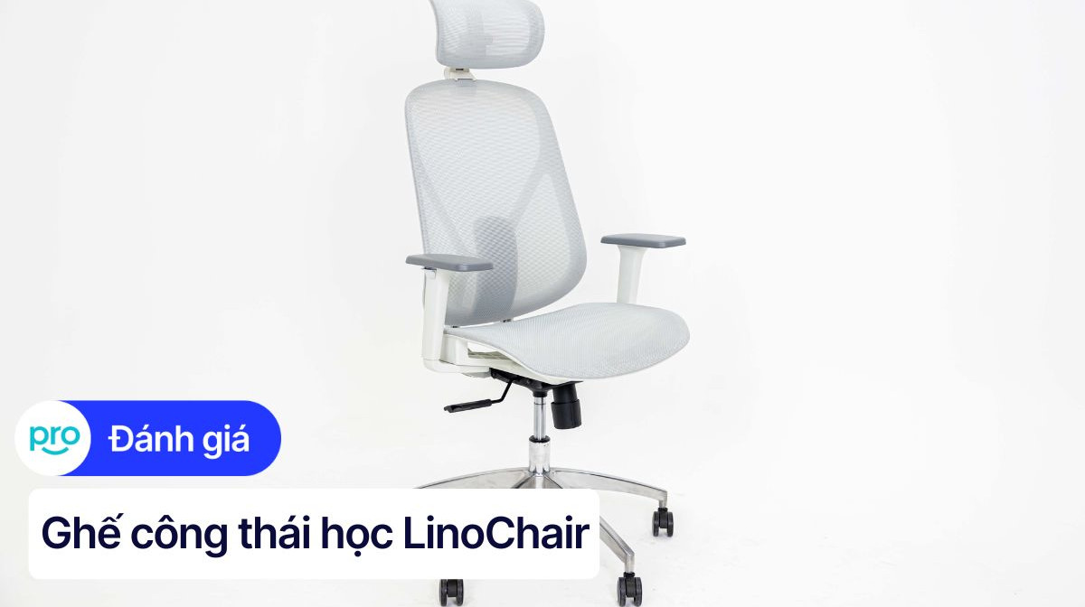 Trải nghiệm ghế công thái học LinoChair: Tính năng đơn giản, cảm giác ngồi "chất"