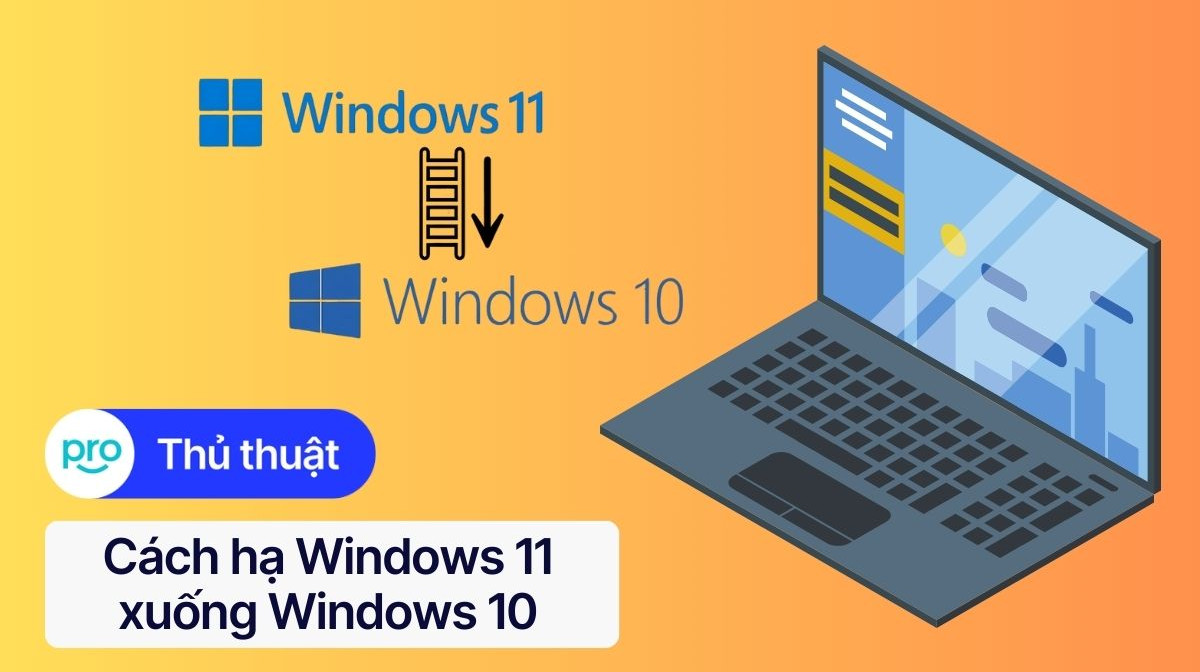 Cách hạ Windows 11 xuống Windows 10 laptop đơn giản, an toàn