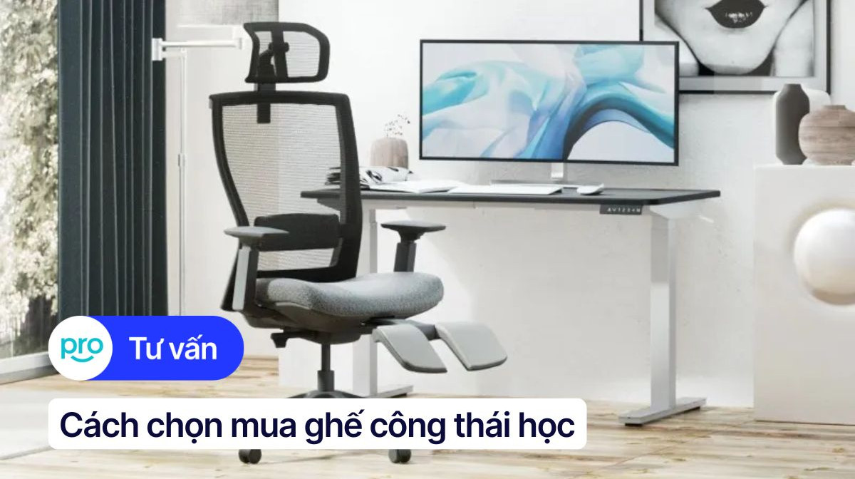 Cách chọn mua ghế công thái học phù hợp mọi dáng người