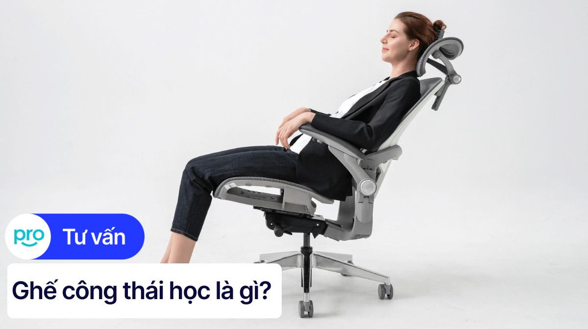 Công thái học là gì? Ứng dụng của công thái học trong đời sống