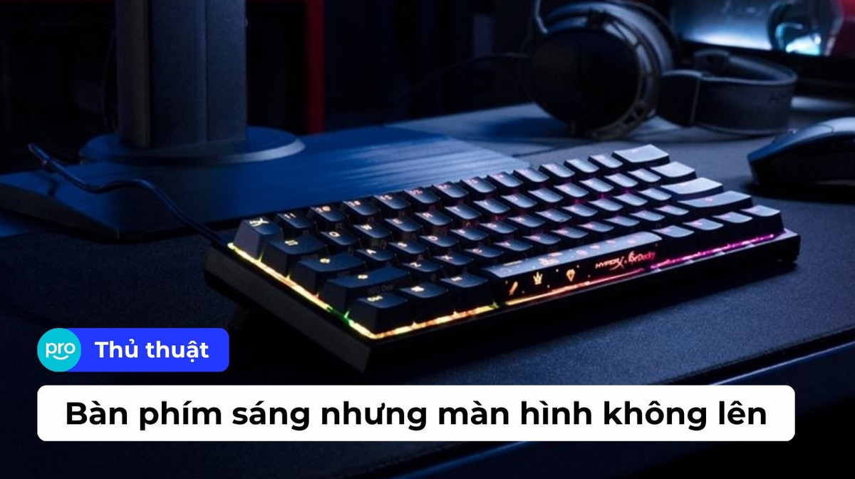 Bàn phím sáng nhưng màn hình không lên: Hướng dẫn cách sửa nhanh