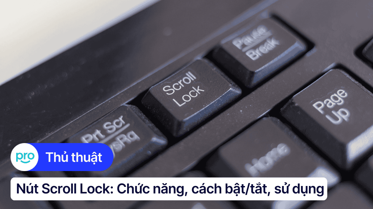 Nút Scroll Lock trên laptop: Chức năng, cách bật/tắt, sử dụng